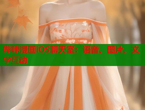 哔咔漫画iOS聊天室：语音、图片、文字互动